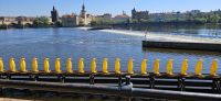 PICTURES/Prague - Kampa Island/t_Penguins1.jpg